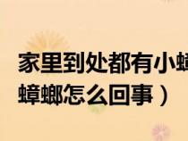 家里到处都有小蟑螂怎么办（家里到处都是小蟑螂怎么回事）