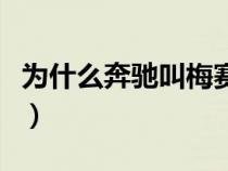 为什么奔驰叫梅赛德斯（梅赛德斯是什么意思）