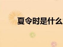 夏令时是什么意思（什么是夏令时）