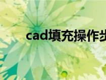 cad填充操作步骤（cad填充的方法）