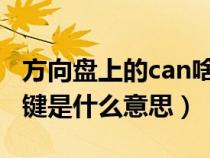 方向盘上的can啥意思（方向盘上的cancel按键是什么意思）