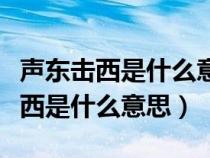 声东击西是什么意思什么是什么生肖（声东击西是什么意思）