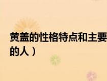 黄盖的性格特点和主要事迹（黄盖的性格特点黄盖是个怎样的人）