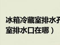 冰箱冷藏室排水孔结冰怎么办视频（冰箱冷冻室排水口在哪）