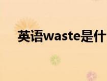 英语waste是什么意思（waste的意思）