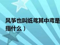 风筝也叫纸鸢其中鸢是指什么动物（风筝也叫纸鸢其中鸢是指什么）