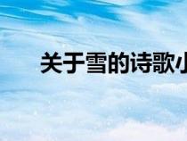 关于雪的诗歌小学生（关于雪的诗歌）