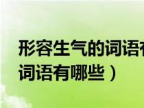 形容生气的词语有哪些?二年级（形容生气的词语有哪些）