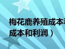 梅花鹿养殖成本和利润 山东省（梅花鹿养殖成本和利润）