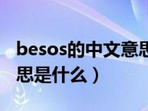 besos的中文意思是什么呢（besos的中文意思是什么）