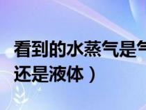 看到的水蒸气是气体还是液体（水蒸气是气体还是液体）