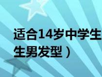 适合14岁中学生男发型视频（适合14岁中学生男发型）