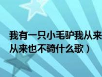 我有一只小毛驴我从来也不骑什么歌词（我有一只小毛驴我从来也不骑什么歌）