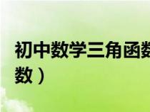 初中数学三角函数经典题型（初中数学三角函数）