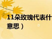 11朵玫瑰代表什么意思（33朵玫瑰代表什么意思）