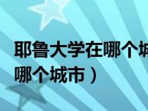 耶鲁大学在哪个城市学费多少钱（耶鲁大学在哪个城市）