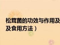 松茸菌的功效与作用及食用方法视频（松茸菌的功效与作用及食用方法）