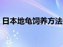 日本地龟饲养方法大全（日本地龟饲养方法）