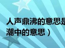 人声鼎沸的意思是什么四年级（人声鼎沸在观潮中的意思）