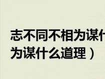 志不同不相为谋什么道理的图片（志不同不相为谋什么道理）