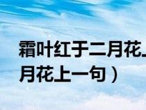 霜叶红于二月花上一句是什么?（霜叶红于二月花上一句）