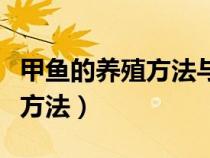 甲鱼的养殖方法与技术视频讲解（甲鱼的养殖方法）