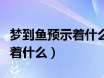 梦到鱼预示着什么意思周公解梦（梦到鱼预示着什么）