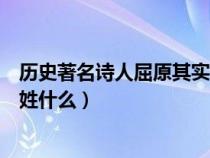 历史著名诗人屈原其实姓什么名字（历史著名诗人屈原其实姓什么）