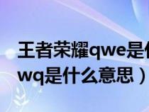 王者荣耀qwe是什么意思（王者荣耀常说的qwq是什么意思）