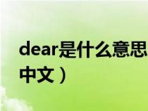 dear是什么意思中文解释（dear是什么意思中文）