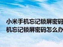 小米手机忘记锁屏密码怎么办?简单一招教你解决!（小米手机忘记锁屏密码怎么办）