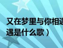 又在梦里与你相遇是什么歌（又在梦里和你相遇是什么歌）