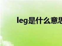 leg是什么意思（body是什么意思）