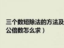 三个数短除法的方法及过程（用短除法求最大公因数和最小公倍数怎么求）