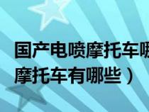 国产电喷摩托车哪些品牌的好点（国产的电喷摩托车有哪些）