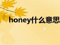 honey什么意思英文（honey什么意思）