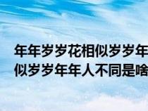 年年岁岁花相似岁岁年年人不同是什么意思（年年岁岁花相似岁岁年年人不同是啥意思）