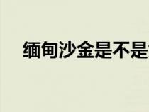 缅甸沙金是不是黄金（缅甸沙金掉色吗）