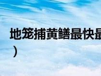 地笼捕黄鳝最快最多的办法（地笼捕黄鳝技巧）