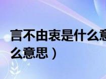 言不由衷是什么意思解释一下（言不由衷是什么意思）