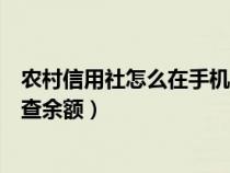 农村信用社怎么在手机查询余额（农村信用社怎么在手机上查余额）