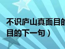 不识庐山真面目的下一句古诗（不识庐山真面目的下一句）