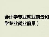 会计学专业就业前景和应具备的专业技能与职业素养（会计学专业就业前景）