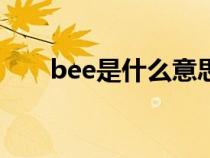 bee是什么意思（letter是什么意思）