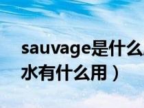 sauvage是什么牌子的香水（foellie私密香水有什么用）