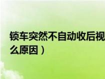 锁车突然不自动收后视镜（今天突然锁车后视镜不折叠是什么原因）