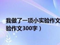 我做了一项小实验作文300字盐水浮鸡蛋（我做了一项小实验作文300字）