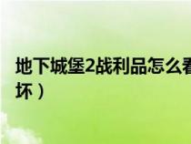 地下城堡2战利品怎么看好坏（地下城堡2战利品怎么辨别好坏）