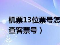 机票13位票号怎么查询（网上订的机票怎么查客票号）