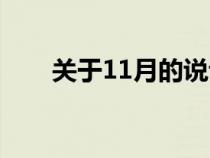 关于11月的说说（有关11月的说说）